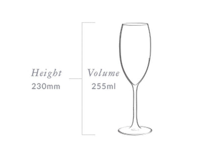 SPARKLING PLUMM VINTAGE - Set of 12