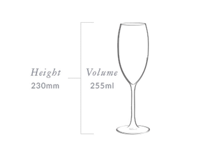 SPARKLING PLUMM VINTAGE - Set of 12